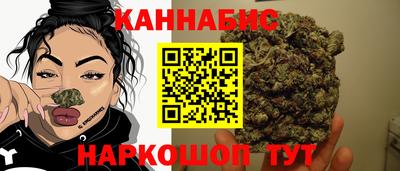 сатива Обь