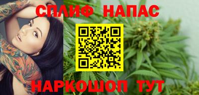 сатива Обь