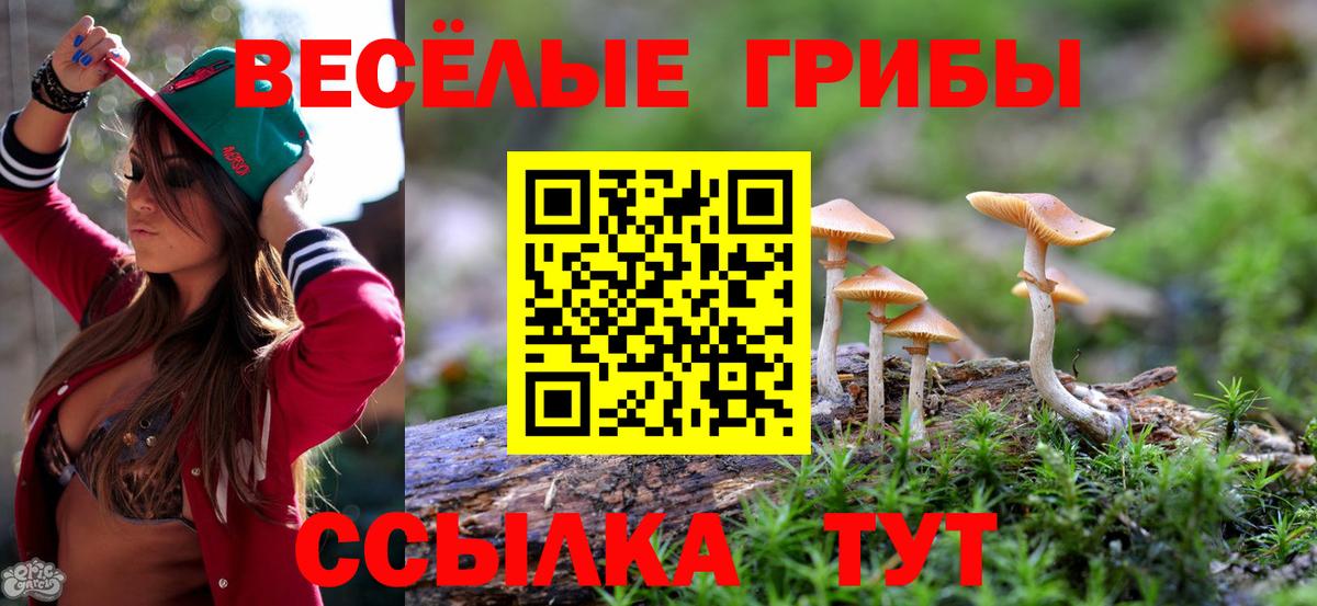Галлюциногенные грибы мухоморы Трёхгорный